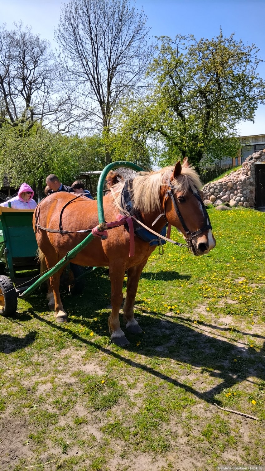 Бездежский фартушок — Туризм и путешествия: фотоотчеты из поездок