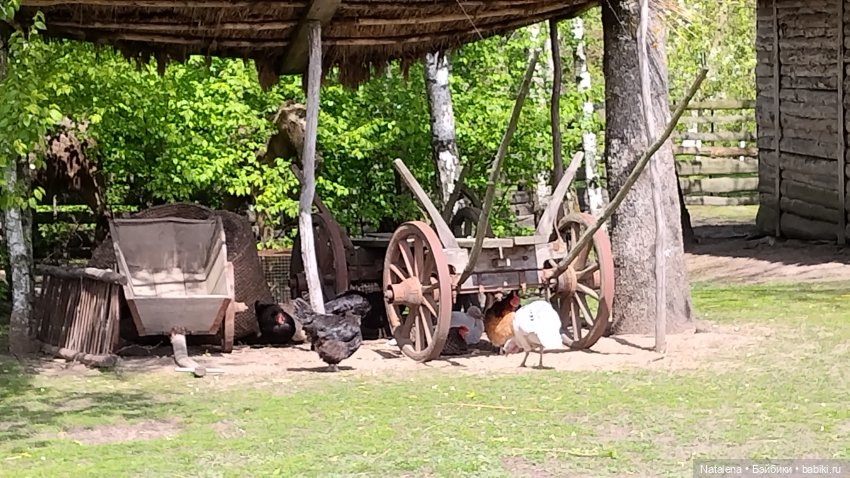 Бездежский фартушок — Туризм и путешествия: фотоотчеты из поездок