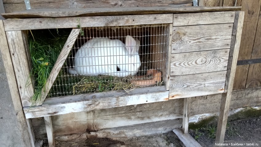 Бездежский фартушок — Туризм и путешествия: фотоотчеты из поездок