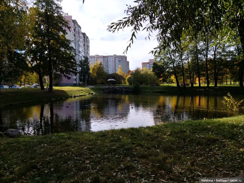 Живет такой парень — Аналоги Барби и куклы 1/6: клоны 90 (фото 10)