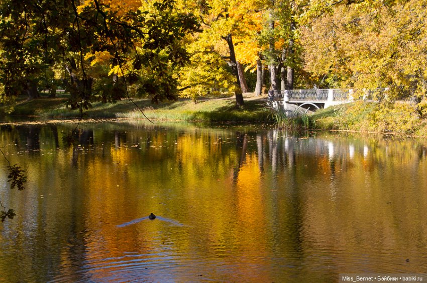 Осень в Царском Селе — Куклы Dollshe Craft (Доллше): BJD (БЖД)