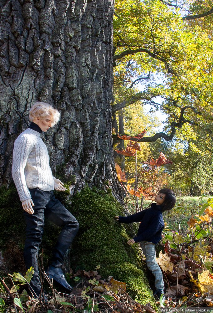 Осень в Царском Селе — Куклы Dollshe Craft (Доллше): BJD (БЖД) (фото 4)