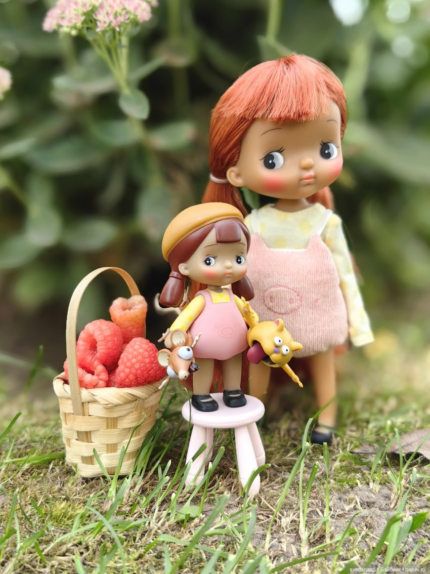 Закрытие дачного сезона. Все домой (фото 3)