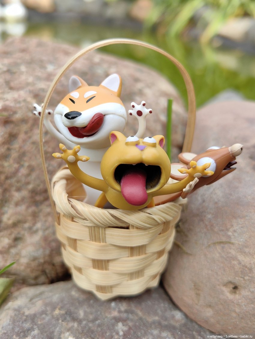 Закрытие дачного сезона. Все домой (фото 10)