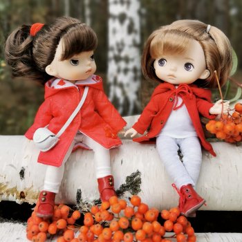 Monst Xiaomi. Архивные фото.