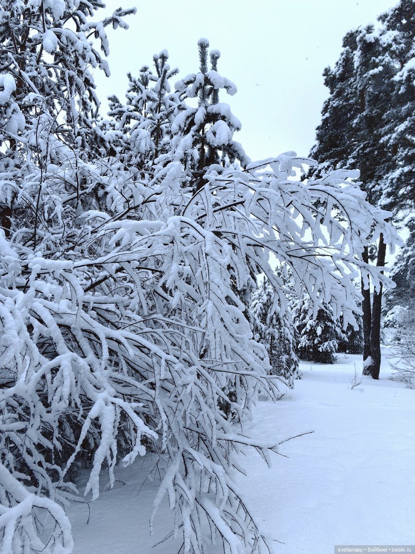 Прогулка у озера. 🌨️ — Домашние фото авторских кукол: личные коллекции