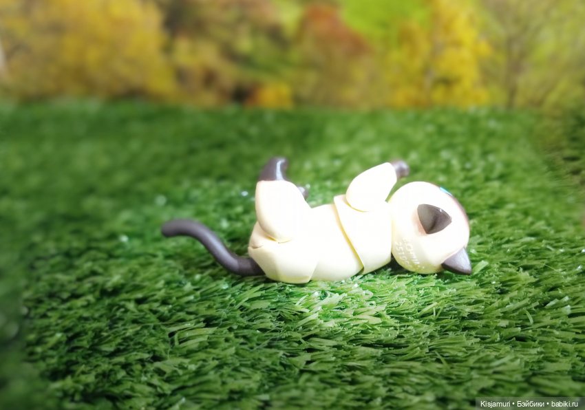 Захватывающие приключения котика Гёдзы (фото 5)