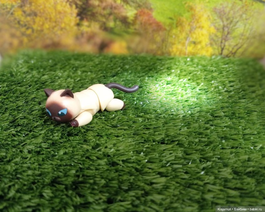 Захватывающие приключения котика Гёдзы (фото 2)