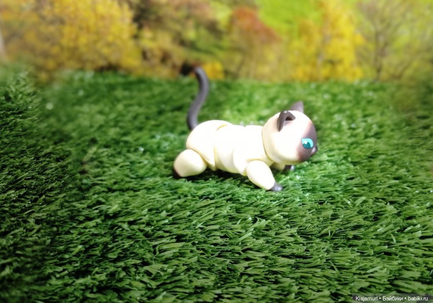 Захватывающие приключения котика Гёдзы (фото 4)