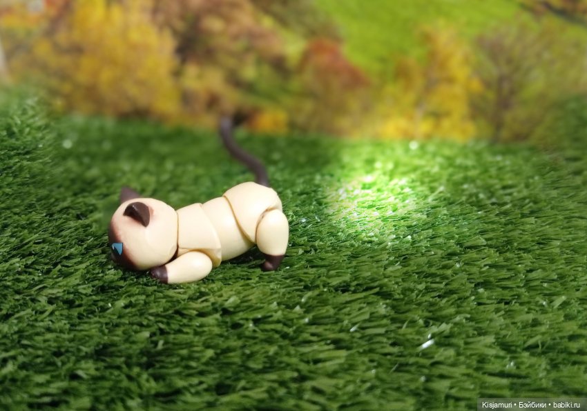 Захватывающие приключения котика Гёдзы (фото 3)