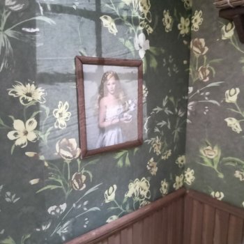 Игры со светом: очередные развлечения с румбоксами