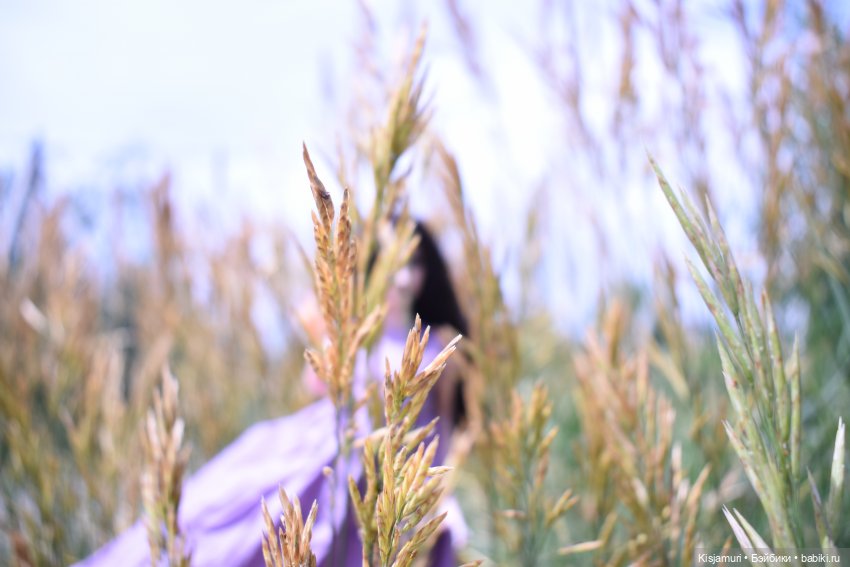 Готовь осень летом — Домашние фото авторских кукол: личные коллекции (фото 7)