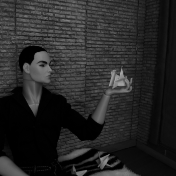 Стая белых журавлей