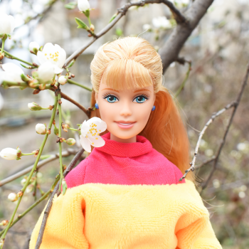 Успеть до дождя