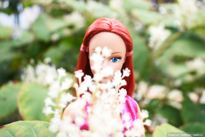 Круговорот голов в природе (фото 10)