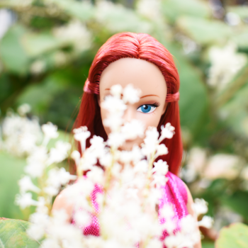 Круговорот голов в природе.