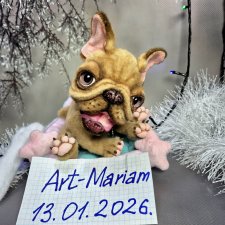 Французкий бульдог  Мия