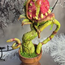 Плотоядный цветок "Зубоцвет"