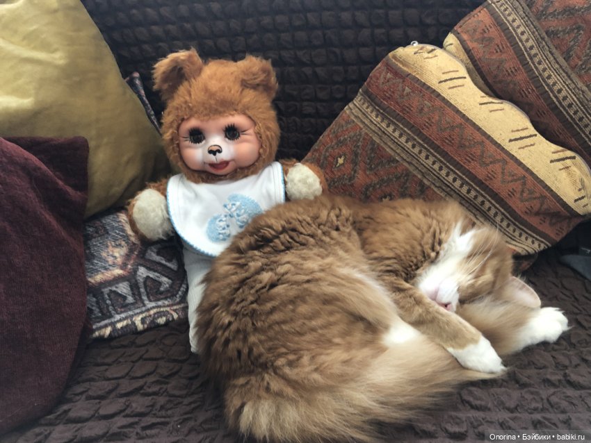 Почернела щёчка у мишки ГДР (фото 8)