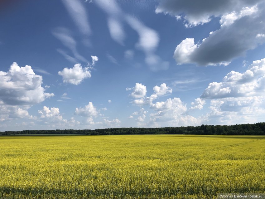 Мои малыши — Опознание кукол СССР и ГДР: поиск по фото (фото 2)