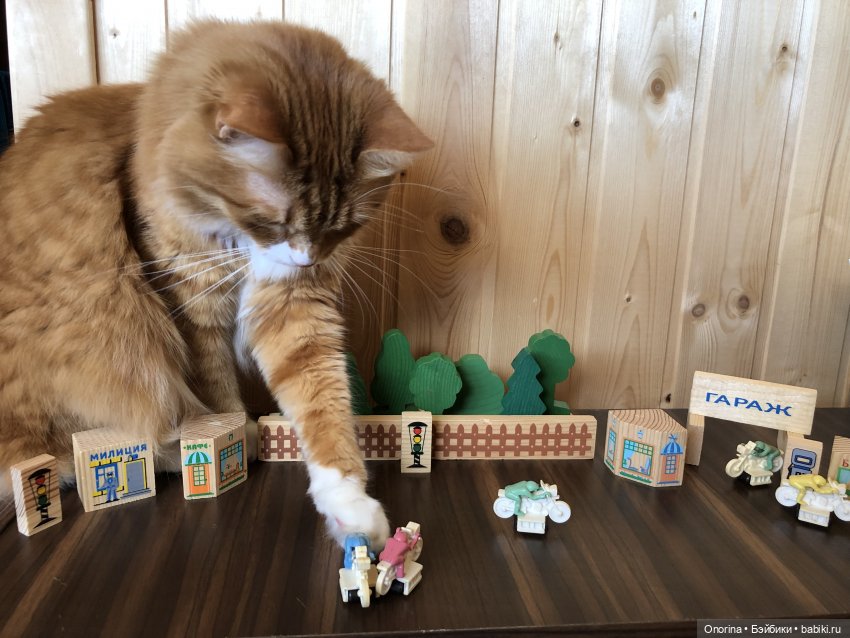 Мотогонки советских мальчиков