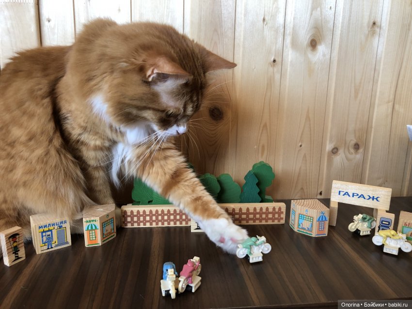 Мотогонки советских мальчиков