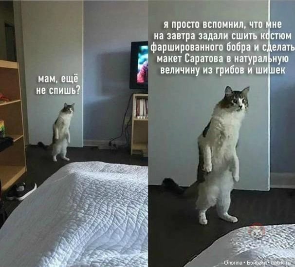 Адмирал Мышкин — Наши хобби и творчество: вышивка