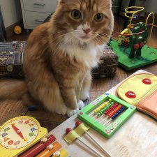 Бизиборд своими руками