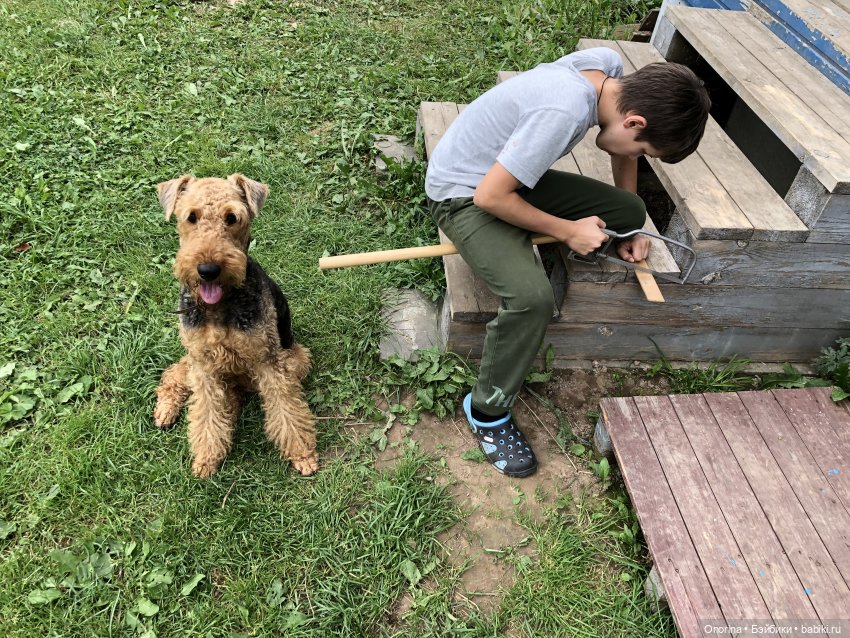 Лошадка-скакалочка — Другие хобби и увлечения: сад (фото 2)