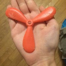 Дитя плангонолога