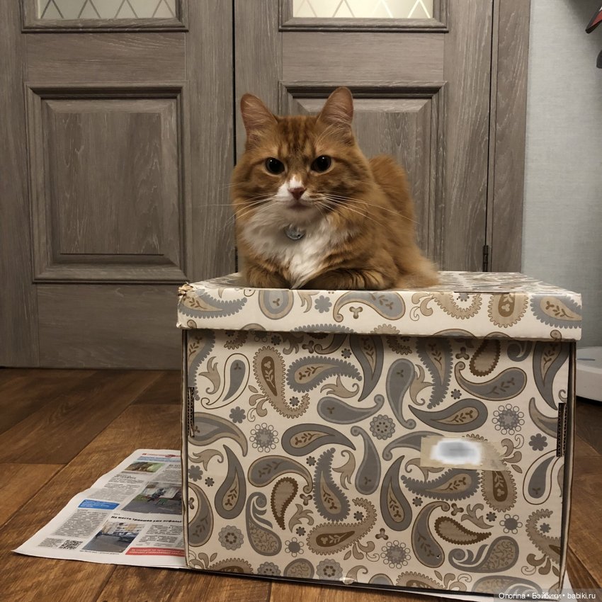 Ширма из картона — Мебель для кукол и домиков: фото