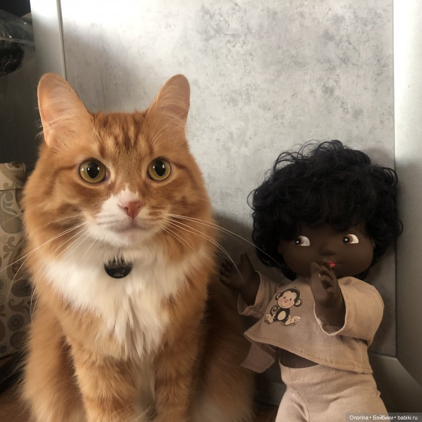 Моя родина - Кения — Интересное и необычное: фотоподборки