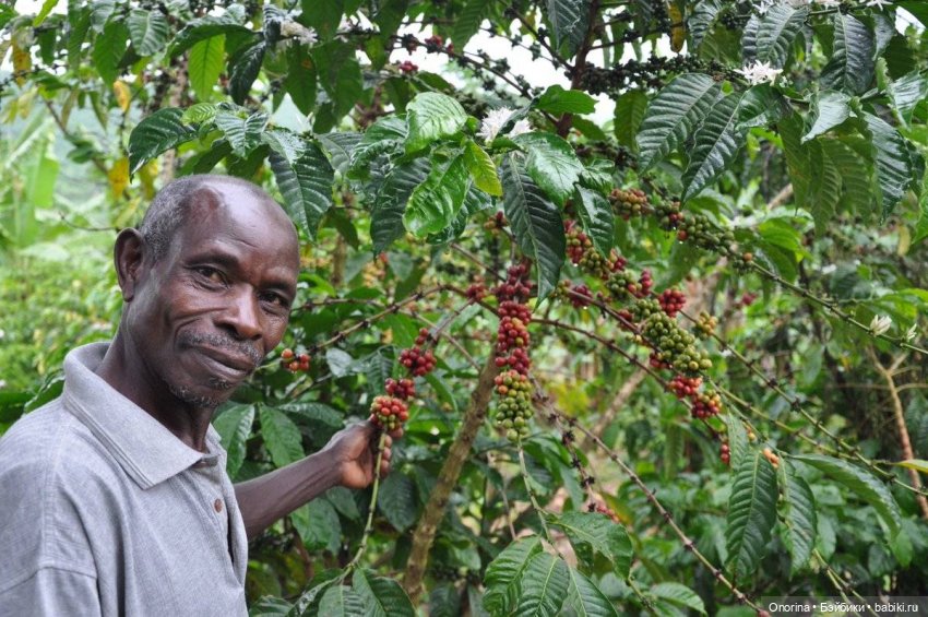 Моя родина - Кения — Интересное и необычное: фотоподборки