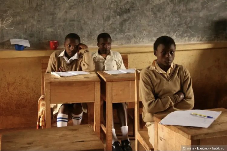 Моя родина - Кения — Интересное и необычное: фотоподборки