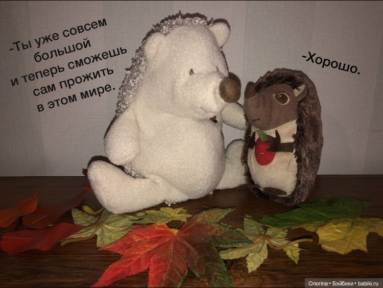 Ёжик покидает дом (часть 1) (фото 3)