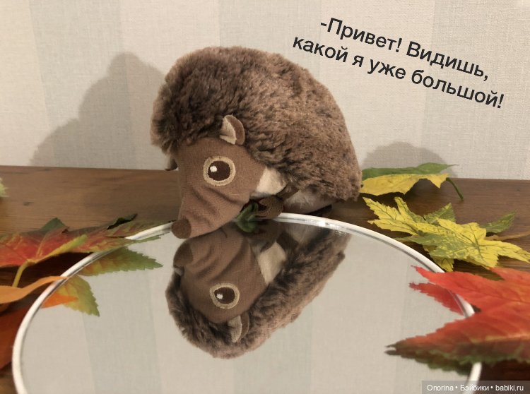 Ёжик покидает дом (часть 1) (фото 6)