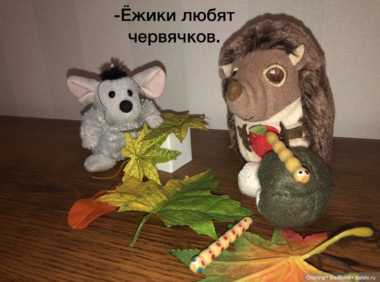 Ёжик покидает дом (часть 2) (фото 4)