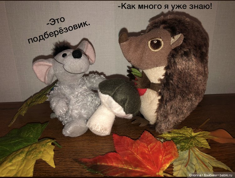 Ёжик покидает дом (часть 2) (фото 3)