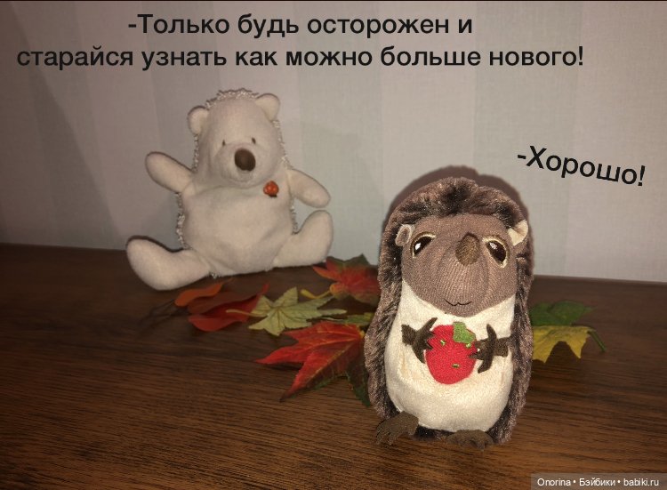 Ёжик покидает дом (часть 1) (фото 4)