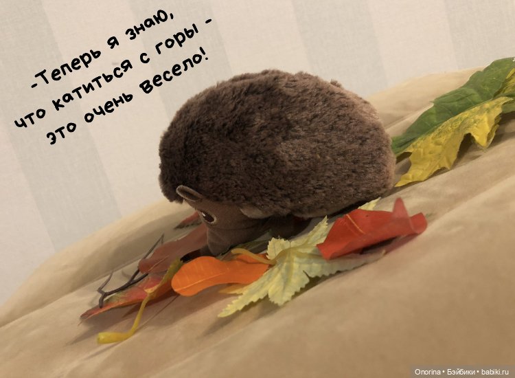 Ёжик покидает дом (часть 1) (фото 5)