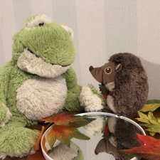 Ёжик покидает дом (часть 1)