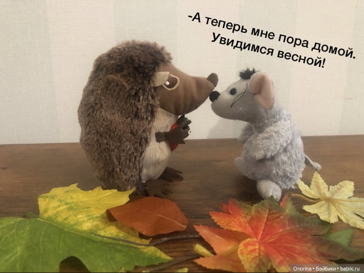 Ёжик покидает дом (часть 3) (фото 8)