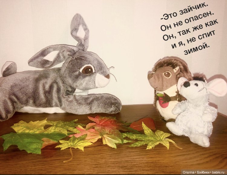 Ёжик покидает дом (часть 3) (фото 4)