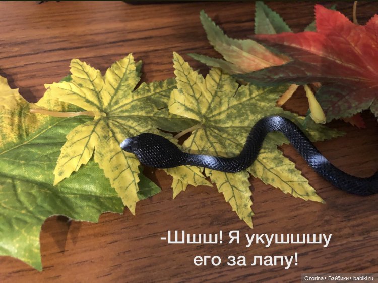 Ёжик покидает дом (часть 3) (фото 10)