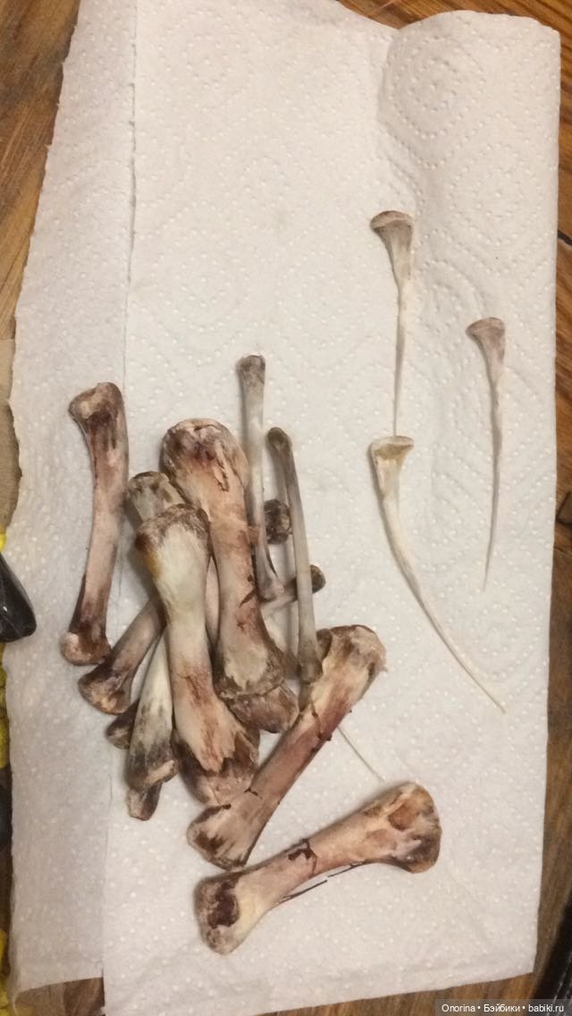 Жилище первобытного человечка