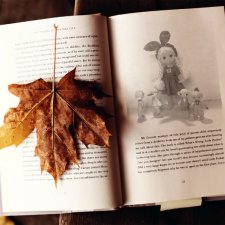 Просто история