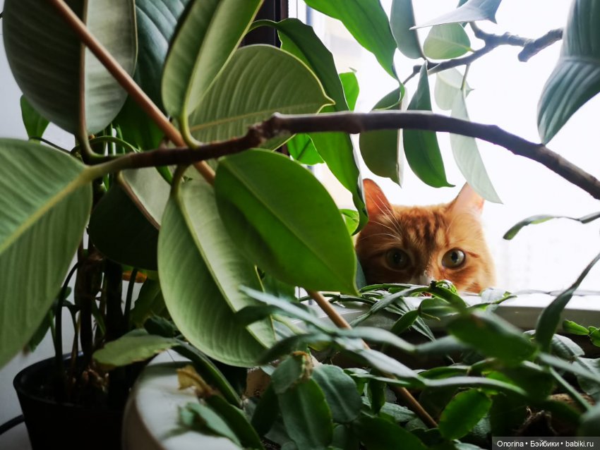 Оборотная сторона луны — Коллекции винтажных кукол и игрушек: СССР (фото 2)