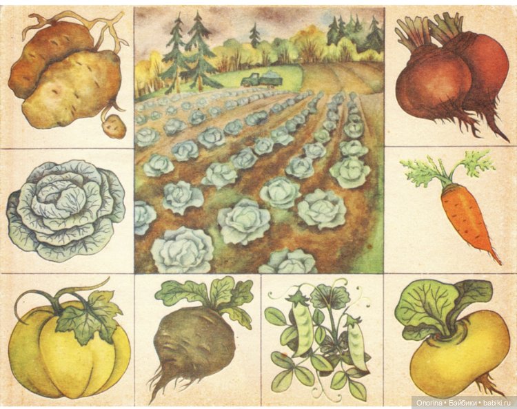 День варёного картофеля — Интересное и необычное: фотоподборки