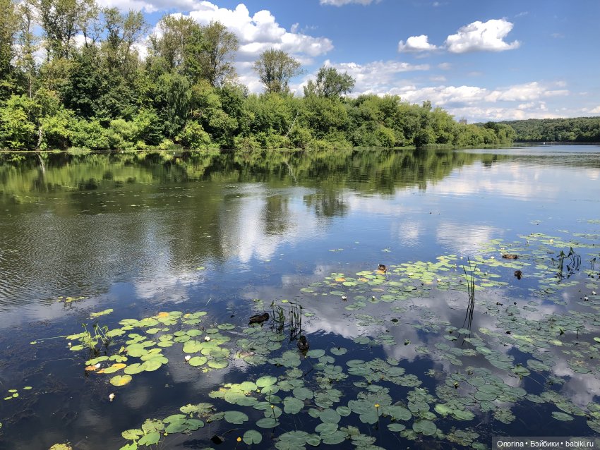 Аука переезжает — Игровые куклы разных производителей (Разное): редкие бренды
