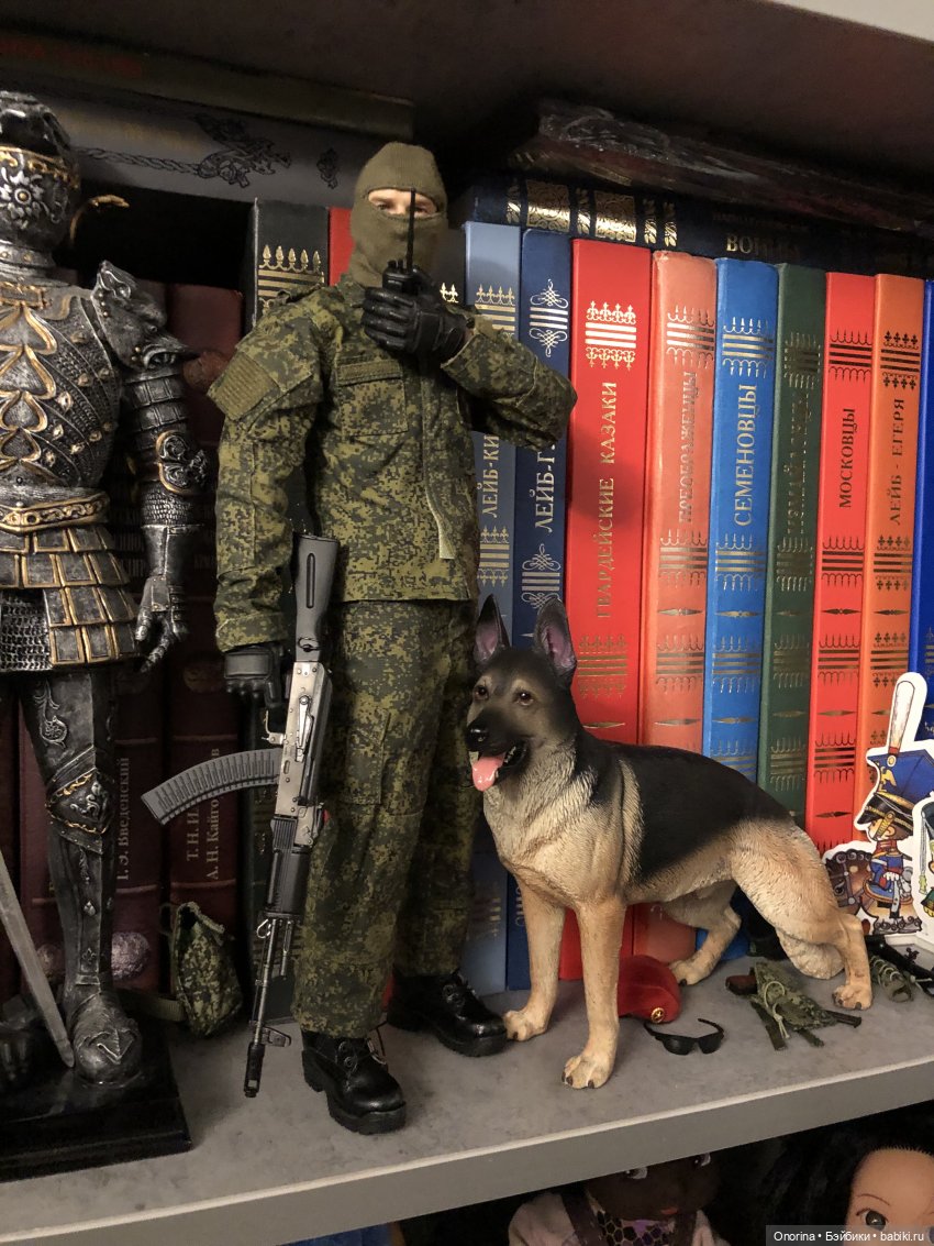 В нашем полку прибыло — Коллекционные экшн